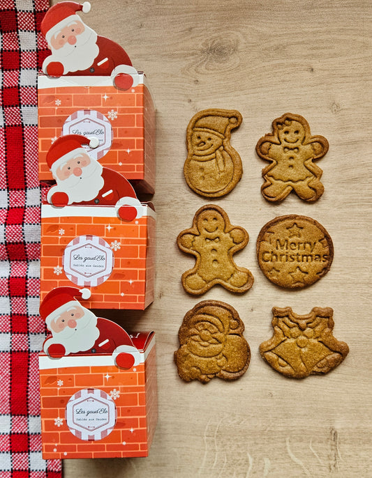 Pré-commande BALLOTIN de NOEL