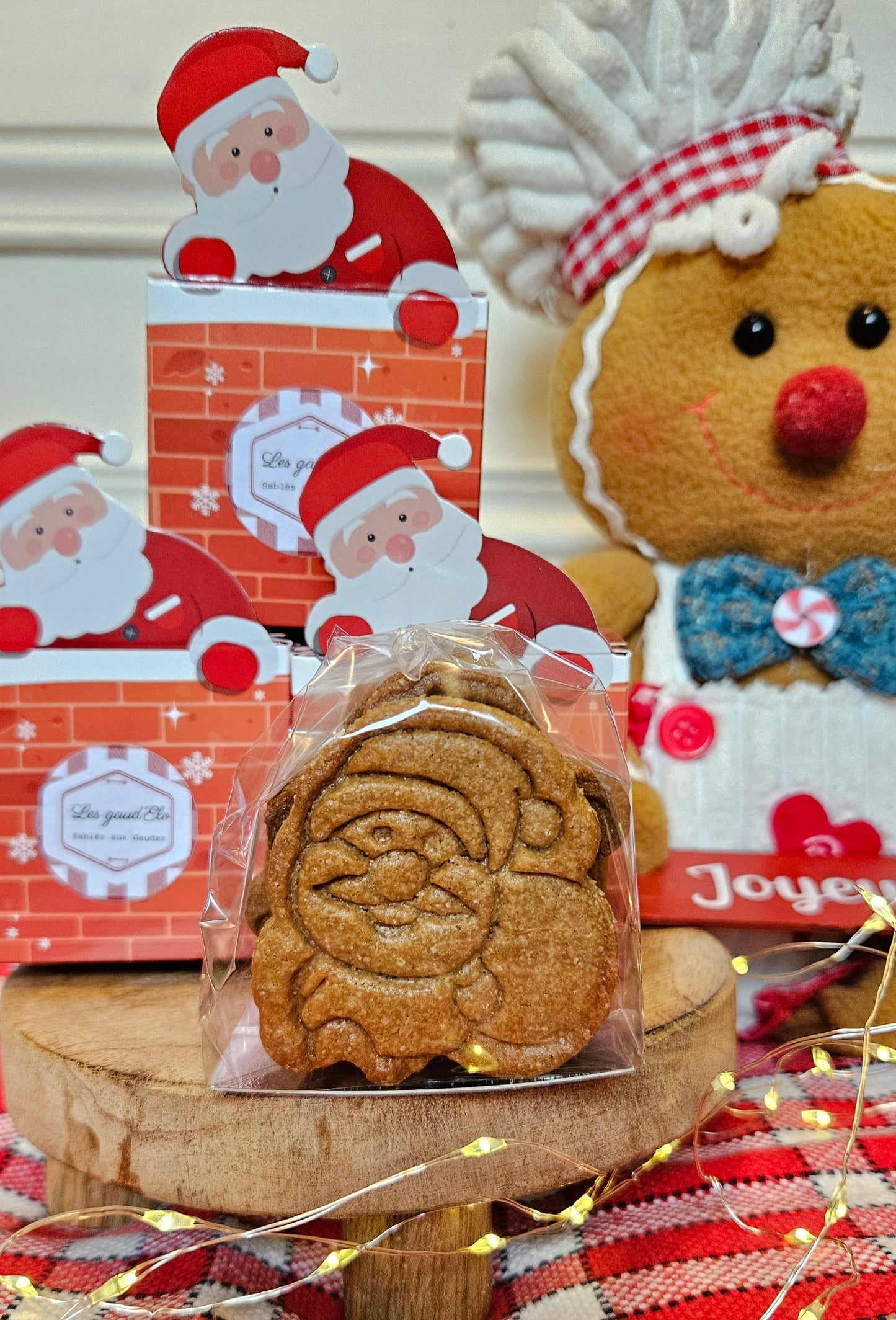 Pré-commande BALLOTIN de NOEL