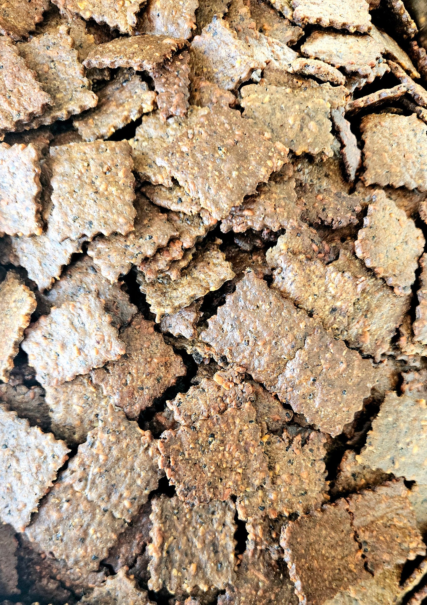Biscuits Salés CHAMPI