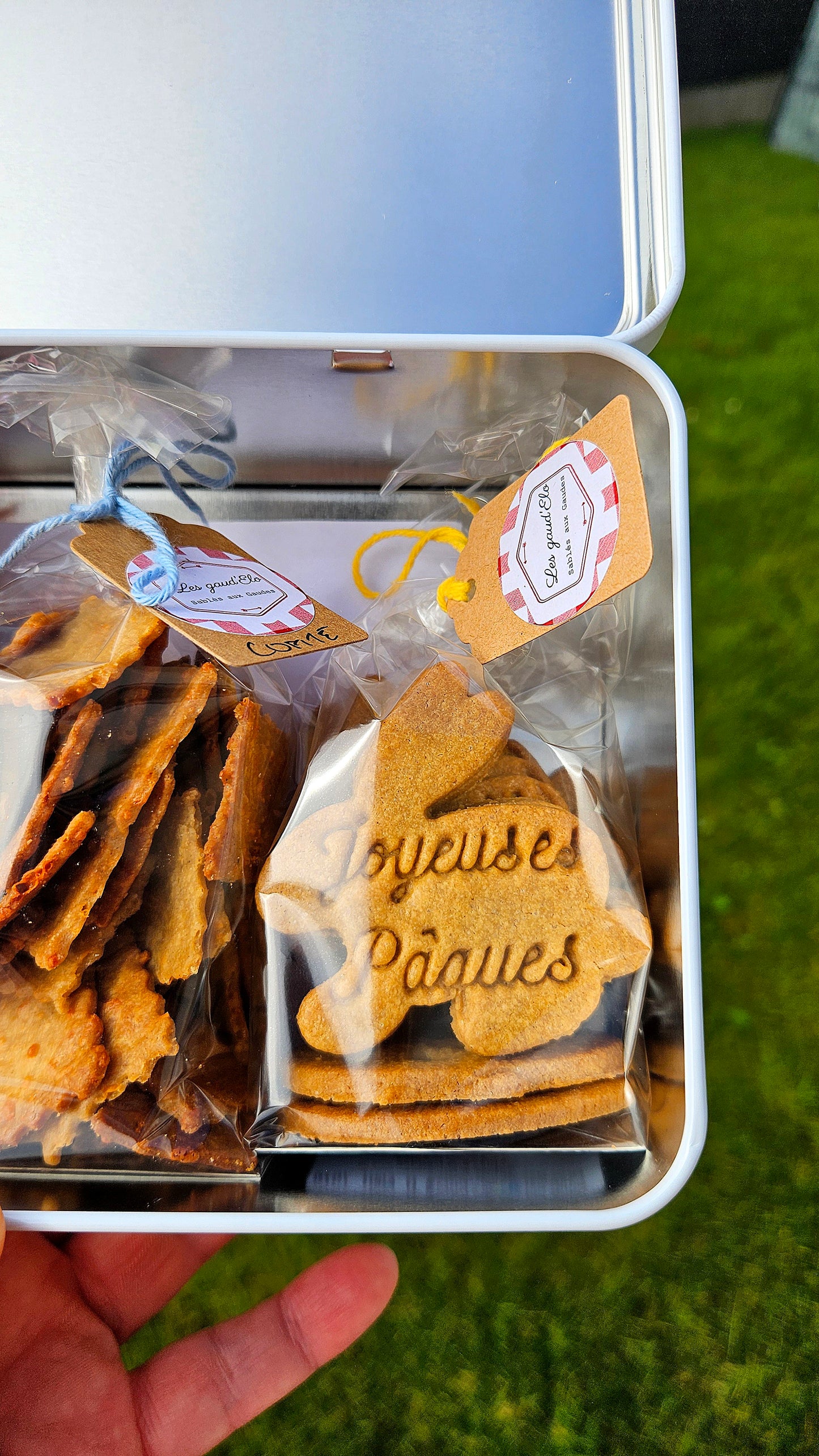 BOÎTES à Biscuits de Pâques